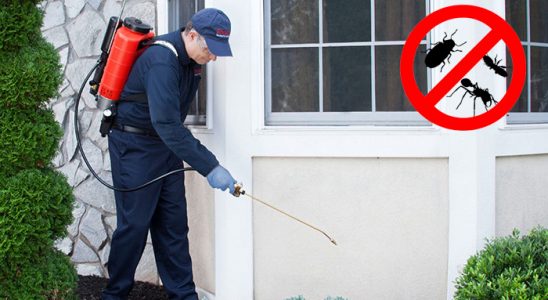 Yayladağı Kene İlaçlama böcek ilaçlama ve haşere kontrolü — ilaclama-tr.com